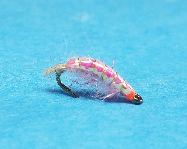Crawfish / Shrimp / Scud